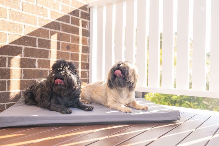 Hanks Corlette House, 49 Pantowora St – pet friendly, air con, boat parking, Wi-Fi