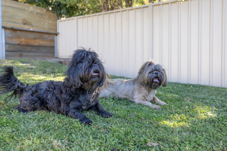 Hanks Corlette House, 49 Pantowora St – pet friendly, air con, boat parking, Wi-Fi