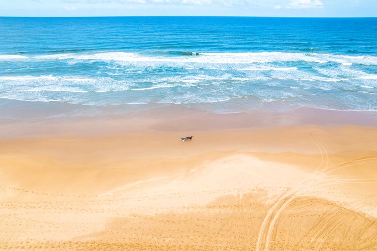 Birubi Point House, 56 Ocean Ave – stunning water views, ducted air con