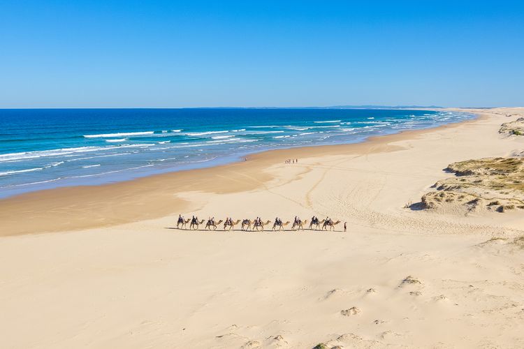 8 Ocean Avenue – Ocean Escape, Wi-Fi, views and Aircon