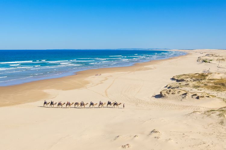 Robinson Retreat with Beach Bungalow, 3 Robinson St – air con, 2 kitchens, 6 bedrooms, 4 bathrooms