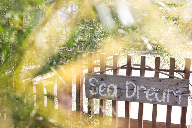 Sea Dream