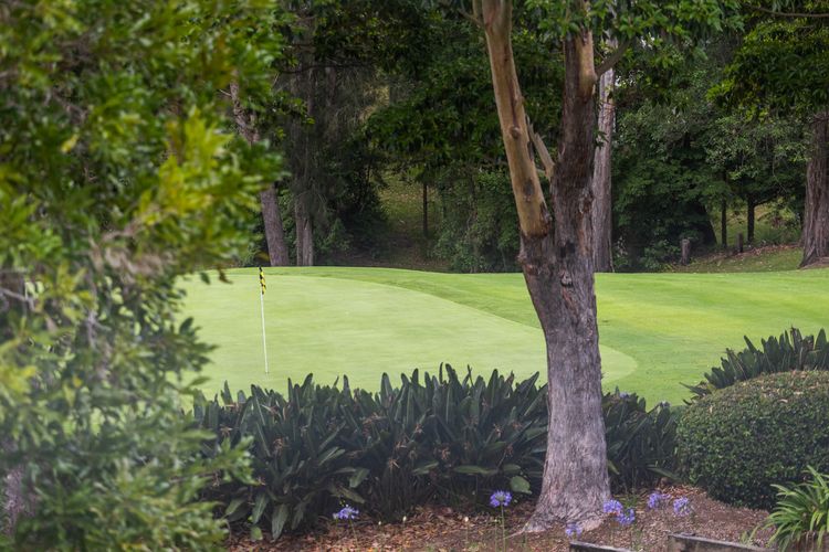 Augusta On The Green