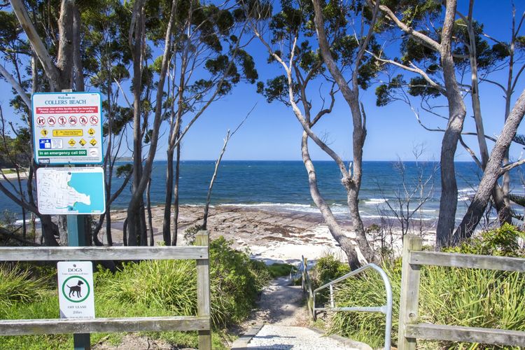 Collers Beach 