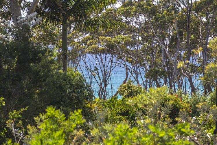 Mollymook Retreat