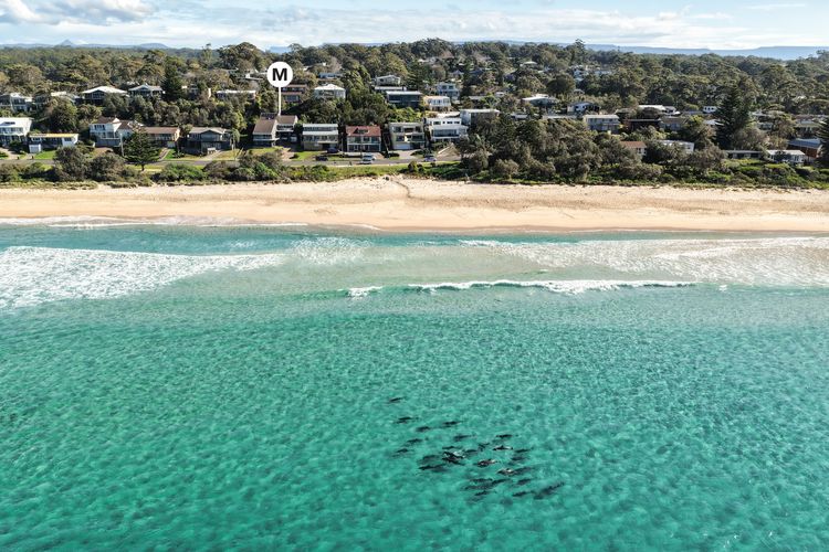 Surfers Reef Escape Mollymook