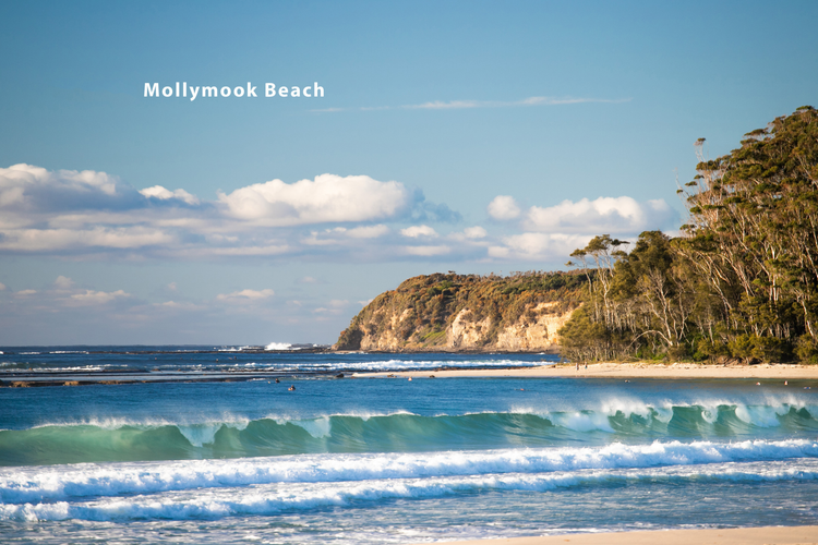 Mollymook 