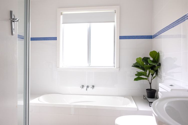 Wallace In Mollymook