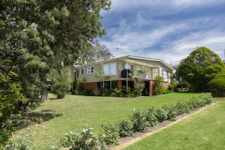 Wallace In Mollymook