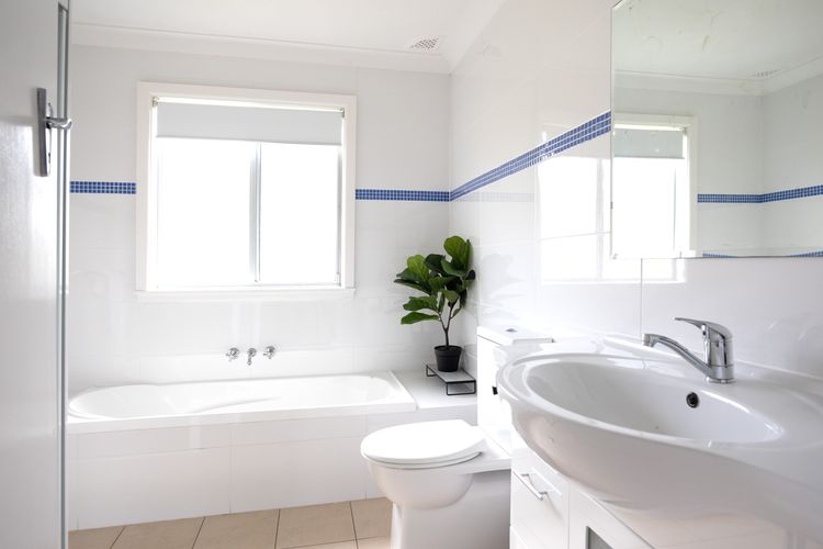 Wallace In Mollymook