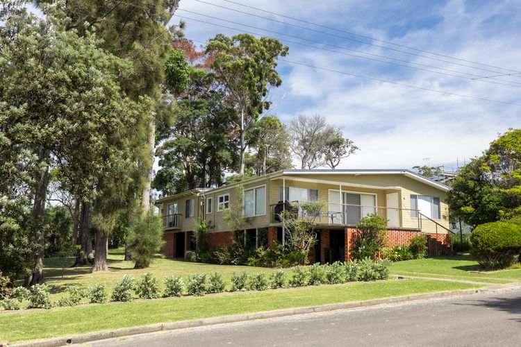 Wallace In Mollymook