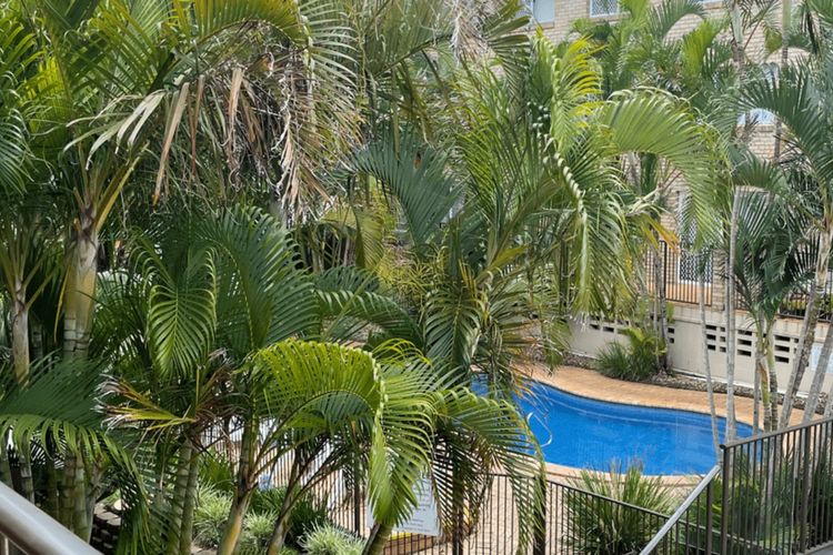 Cabarita Beachfront Poolside 22