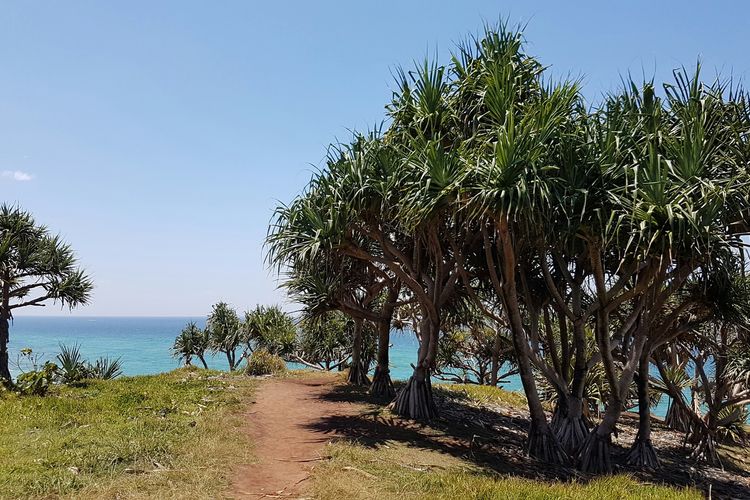 Luxury Apartment 1320 at Bells Boulevard