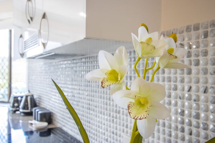 Shoreline Holiday Apartment