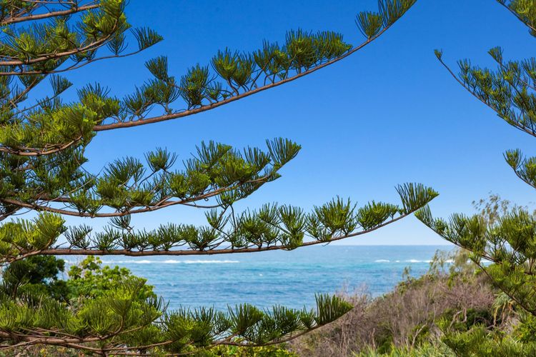 Surf Side Apartment 11