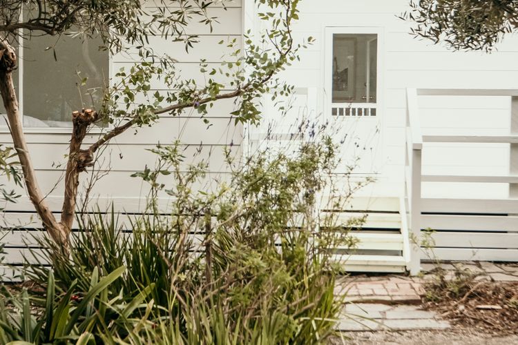 Salt Cottage