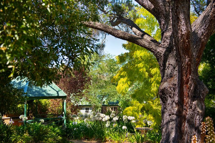 Lucini Cottage