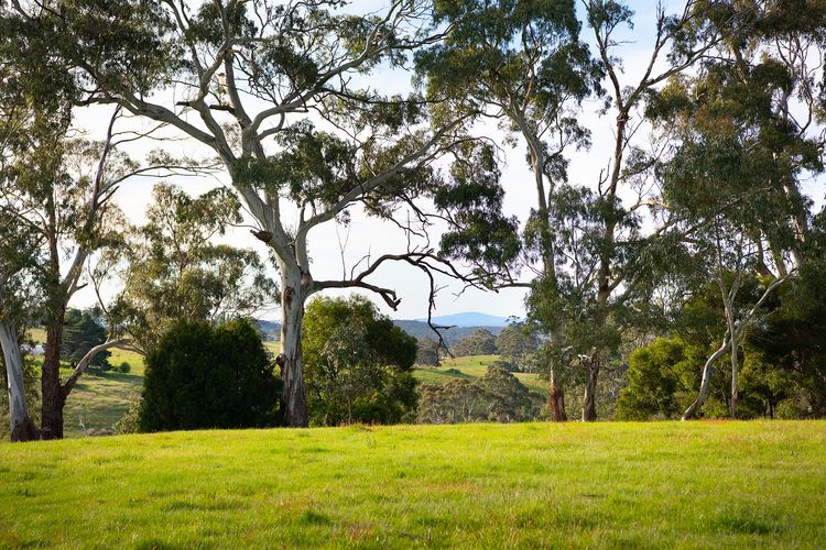 Loddon Retreat