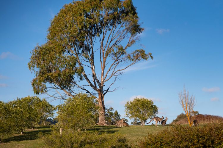 Loddon Retreat