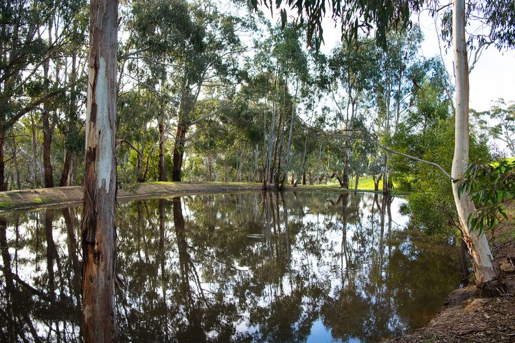 Loddon Retreat