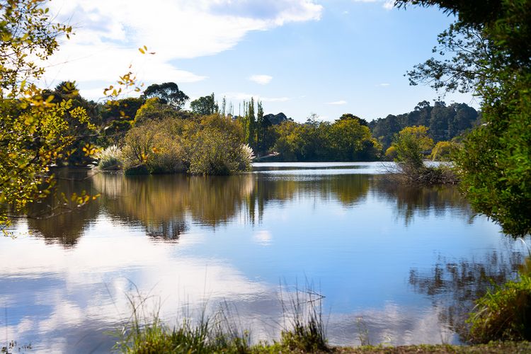 Vue Lake Daylesford Studio