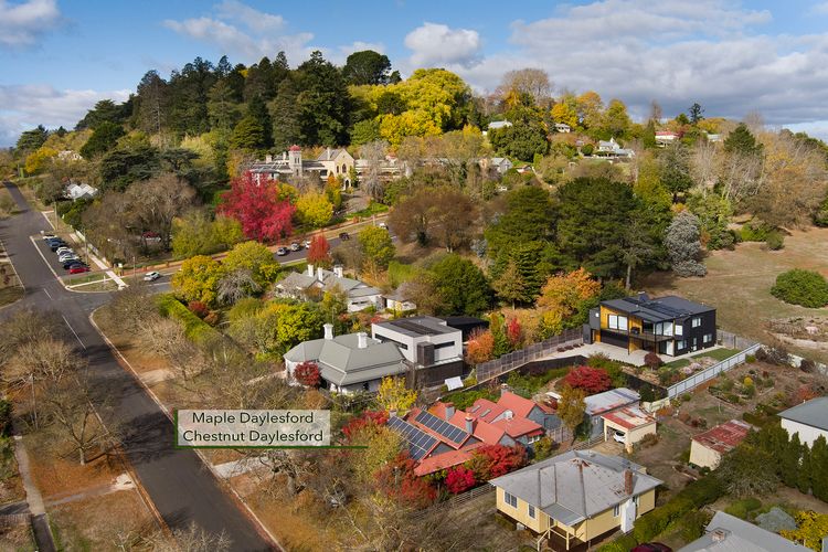 Maple Daylesford