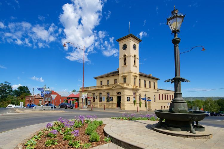 Chestnut Daylesford