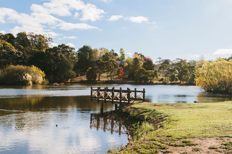 Chestnut Daylesford