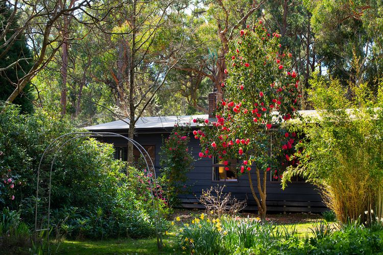 Selo Retreat