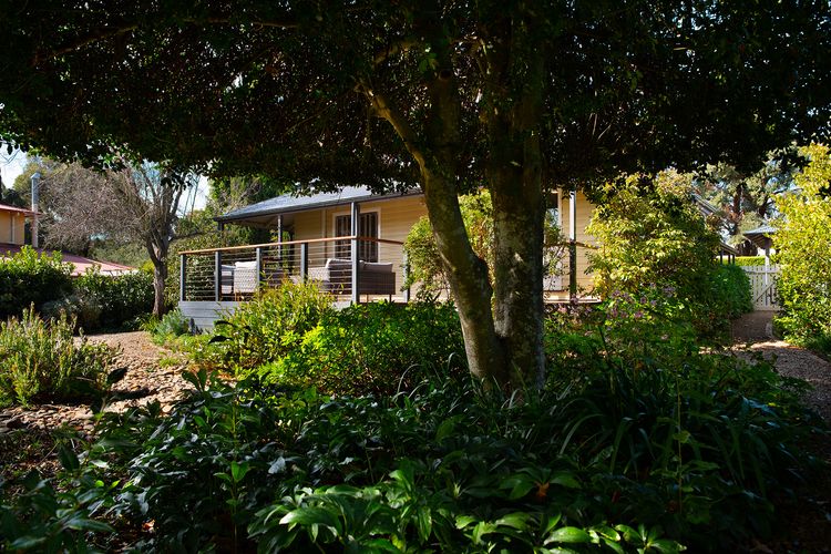 Sunshine House