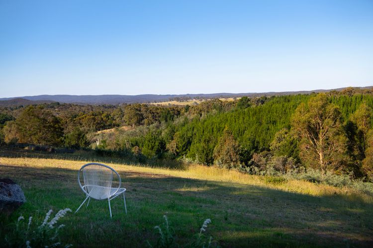 Honey Hill