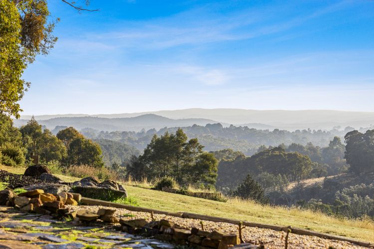 Honey Hill