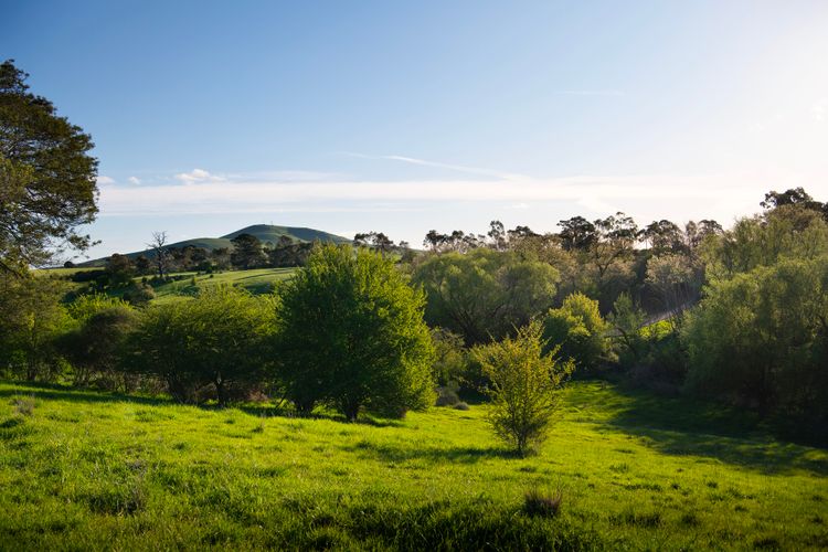 The Cottage at Lake Werona