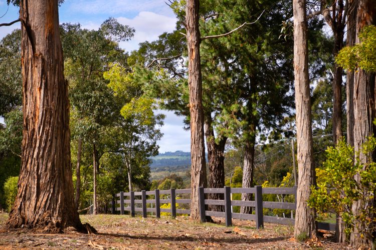 Forest Edge Daylesford