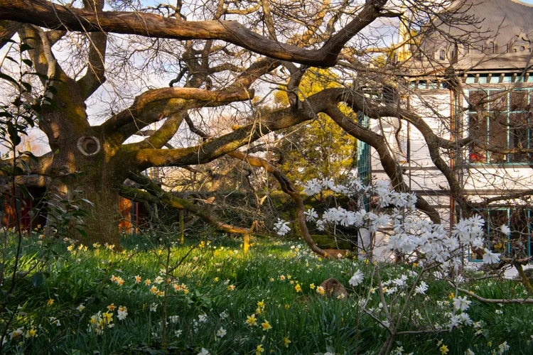 Montacute Garden Pavilion