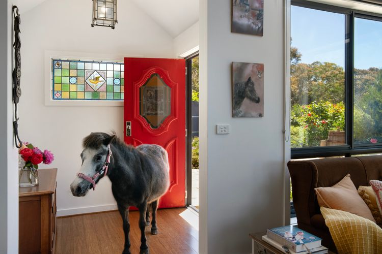 The Fat Pony Lodge