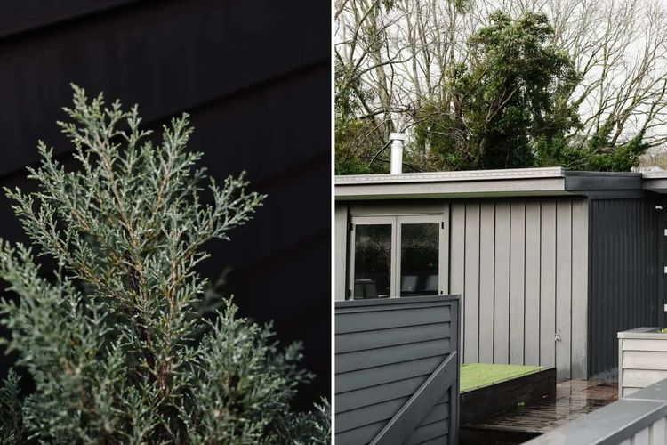 Nephew Tim – 3 Bedroom Apartment
