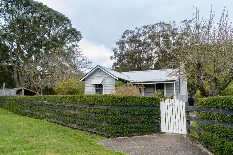 The Gums
