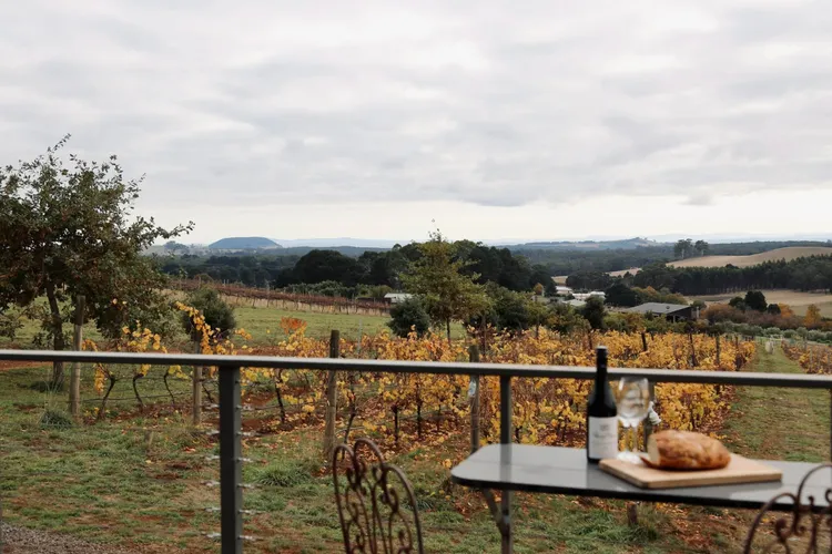 Vines and Views