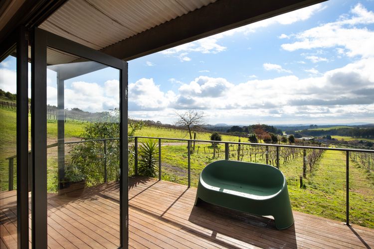 Vines and Views