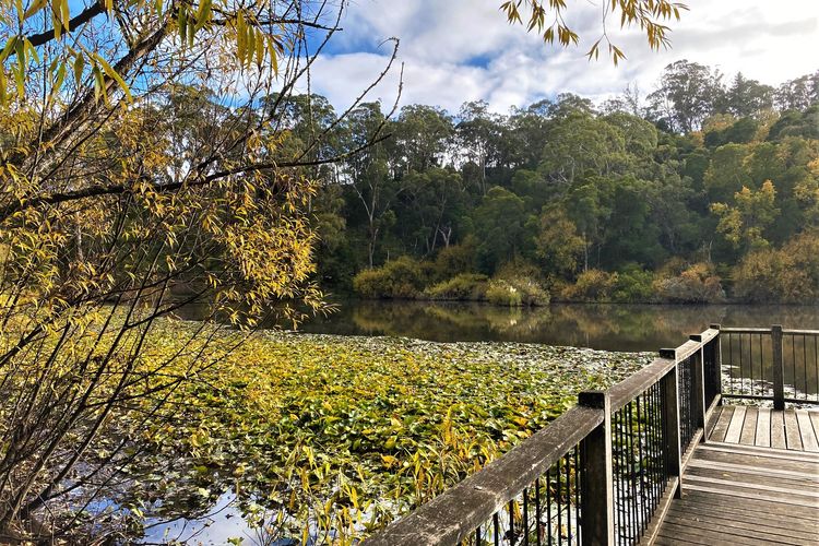 Daylesford House Studio