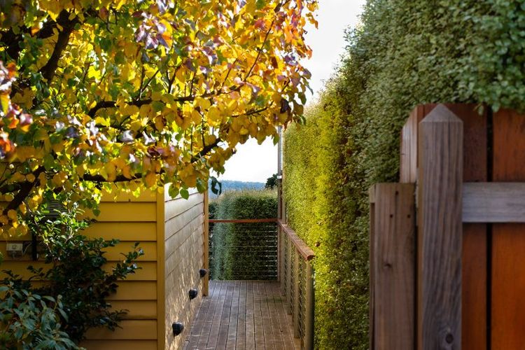 Daylesford House Studio