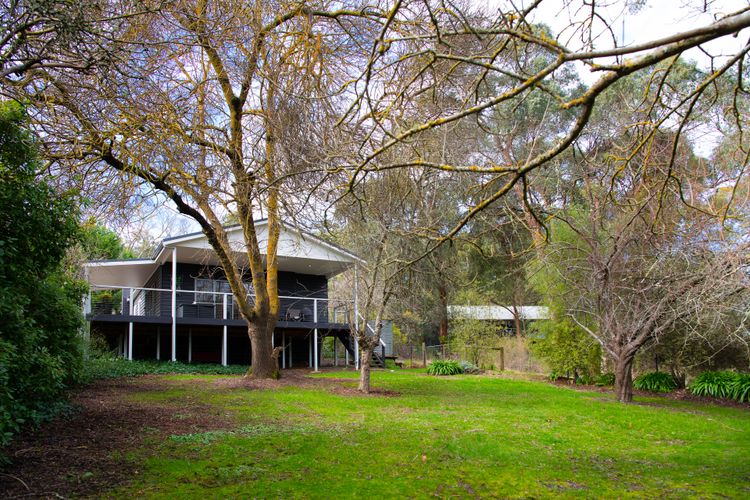 The Apple Tree