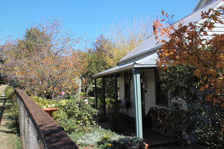 Quince Cottage