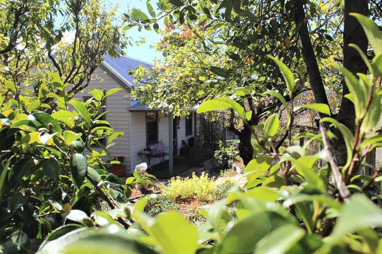 Quince Cottage