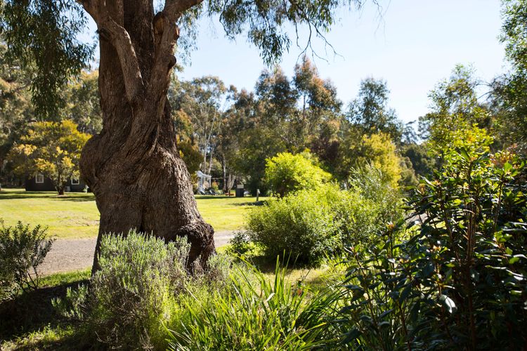Acacia @ Bodhi – Cottage 2