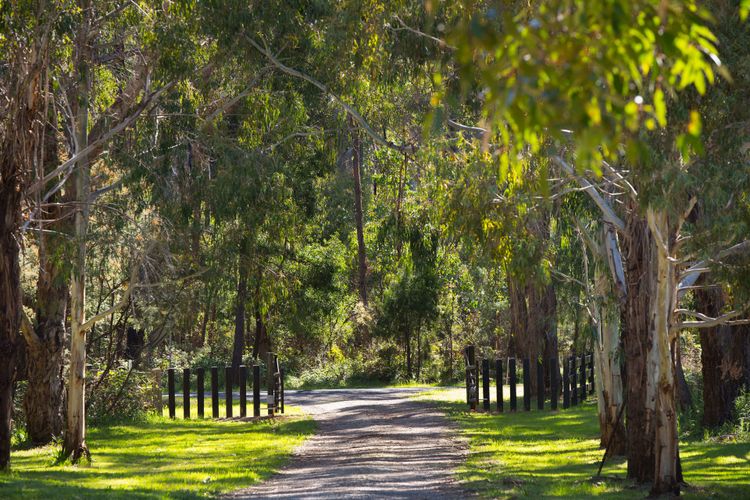 Acacia @ Bodhi – Cottage 2