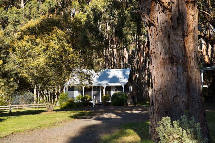 Goldfield @ Bodhi – Cottage 4