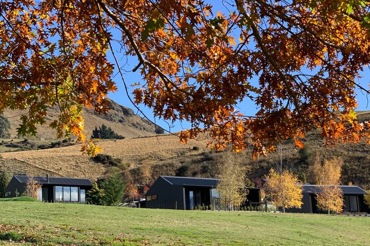 Hayes Cottage | Alpha