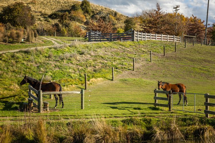 Countryside Escape Arrowtown